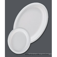 Sugarcane Tableware /12.6" Oval Plate (Bagasse Plate)